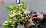 Hà Nội trong hương bưởi tháng 3